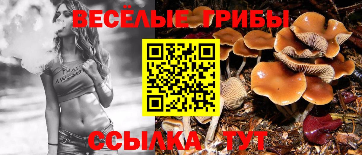 Звенигород  сколько стоит  Вход с VPN  Галлюциногенные грибы GOLDEN TEACHER  Галлюциногенные грибы ЛСД 