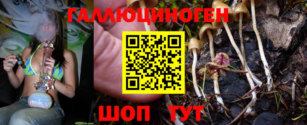 Псилоцибиновые грибы прущие грибы Звенигород