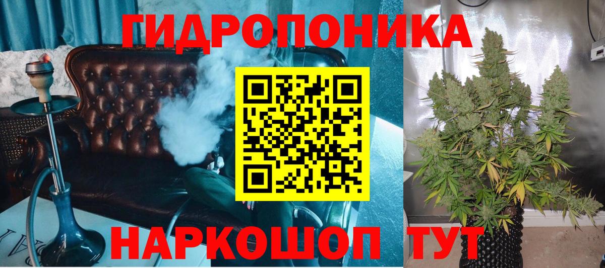 Шишки марихуана планчик Звенигород